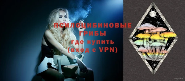амф Горняк
