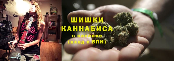 амф Горняк