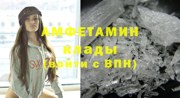 амф Горняк