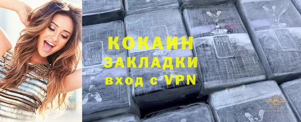 амф Горняк