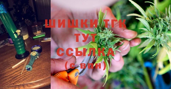 амф Горняк