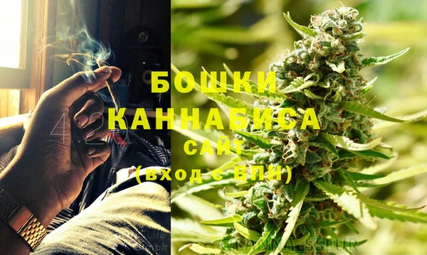 2c-b Горнозаводск