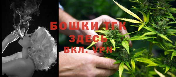 2c-b Горнозаводск
