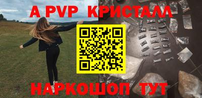 спайс Берёзовский