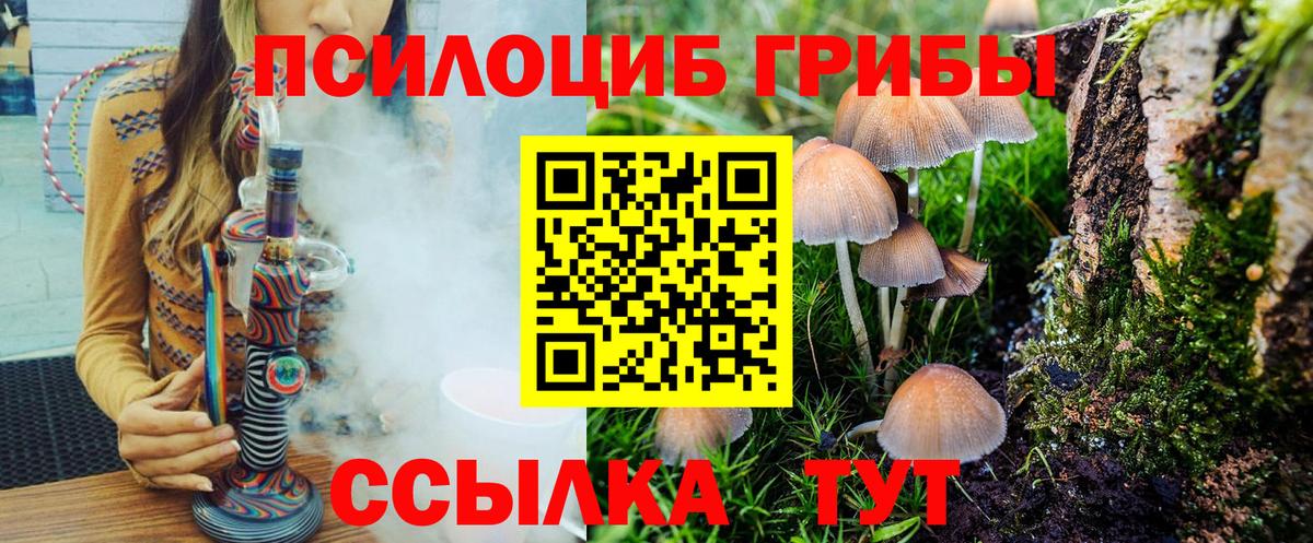 Галлюциногенные грибы GOLDEN TEACHER Екатеринбург