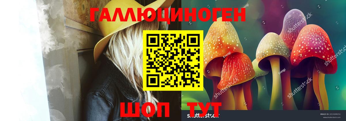 Псилоцибиновые грибы мицелий  закладка  Галлюциногенные грибы GOLDEN TEACHER  Екатеринбург  Вход с VPN 